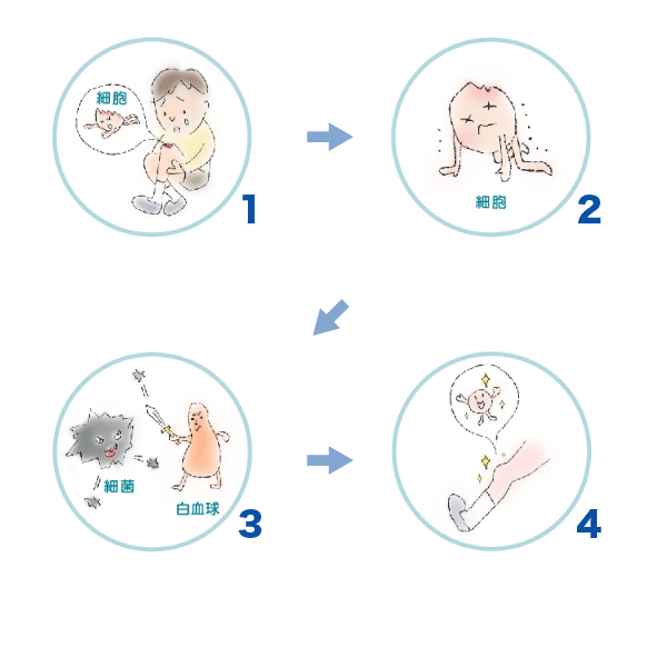 傷が治るまで