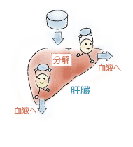 飲み合わせによる副作用や効き過ぎ、効果を打ち消す作用などを防ぐために必要