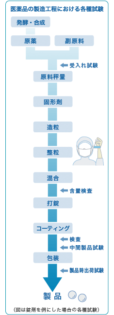 錠剤を創る工程