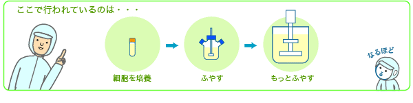 こで行われているのは・・・細胞を培養→ふやす→もっとふやす