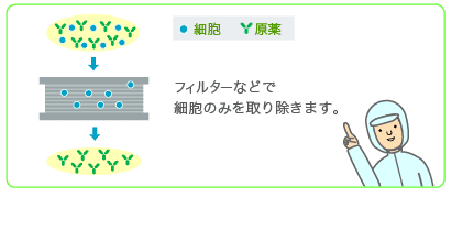 フィルターなどで細胞のみを取り除きます。