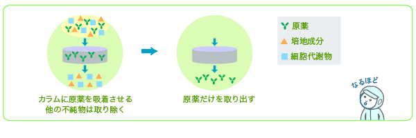 カラムに原薬を吸着させる。他の不純物は取り除く→原薬だけを取り出す。