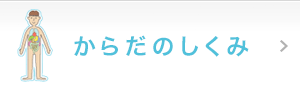 からだのしくみ